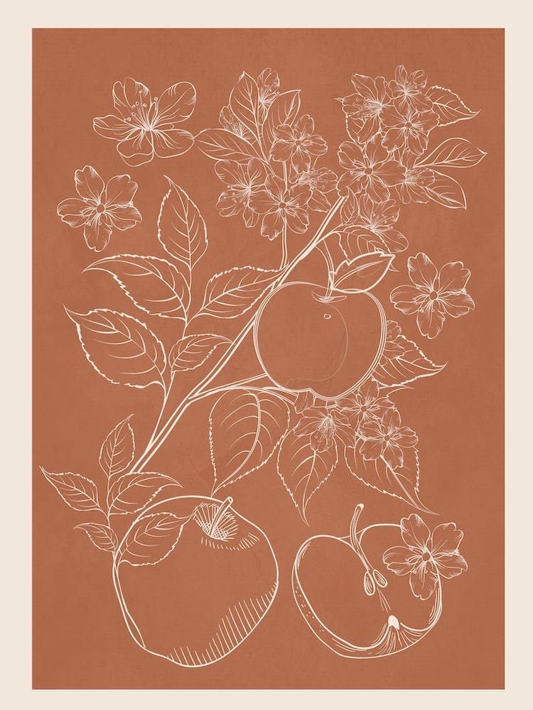 Äpfel Linienkunst