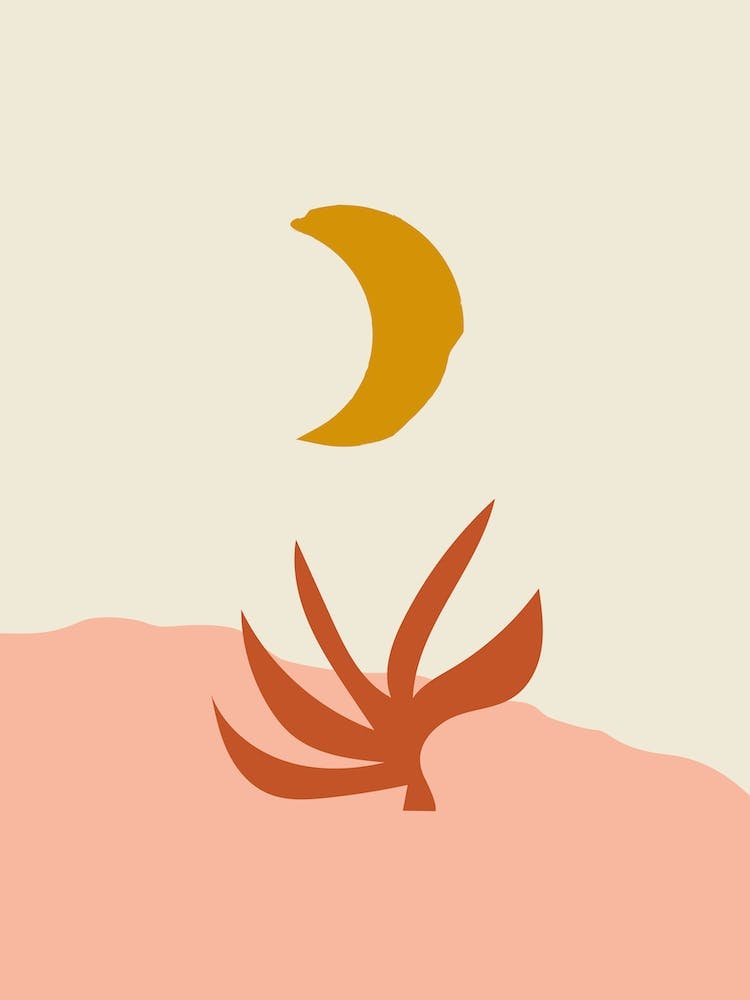 Waxing Crescent Moon