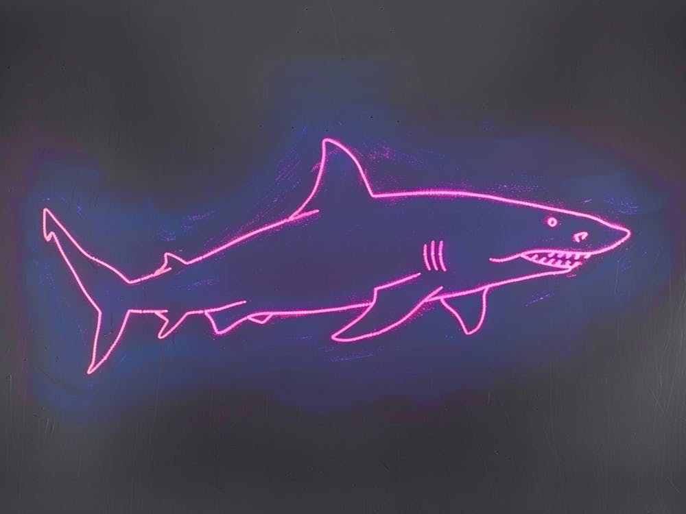 Neon Pink Nurse Shark 1