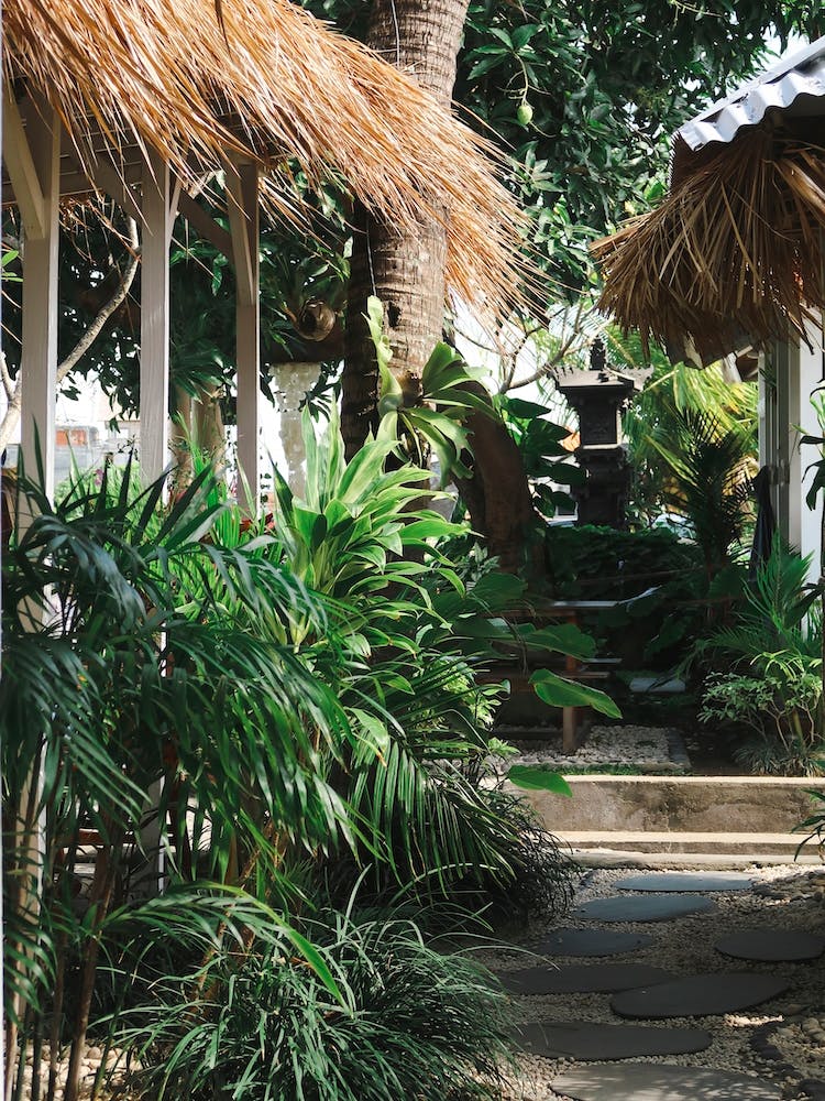 Bali Green Garden