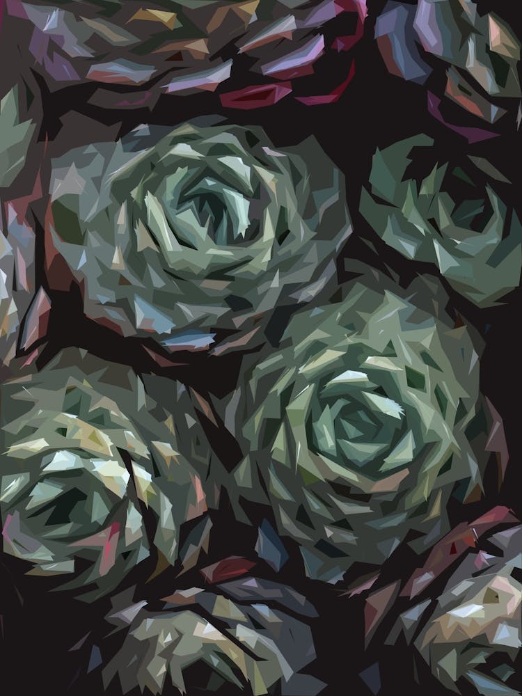 Succulent Plant Ii