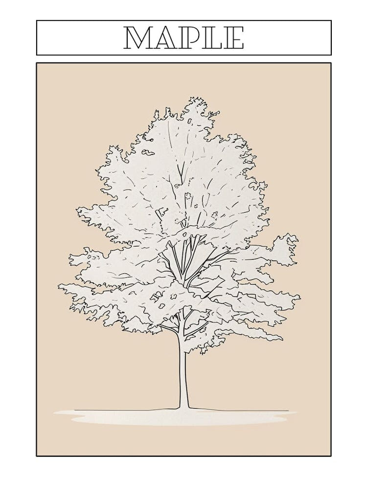 Maple Tree Minimalistic Drawing 2 Poster