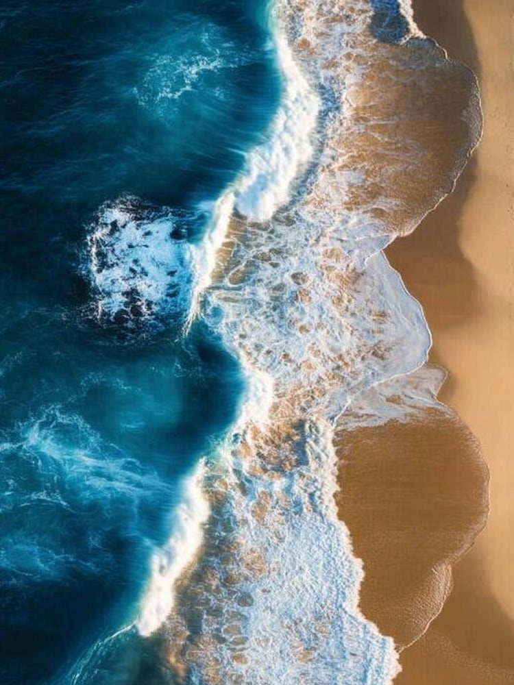 Aerial View Of A Beach 49