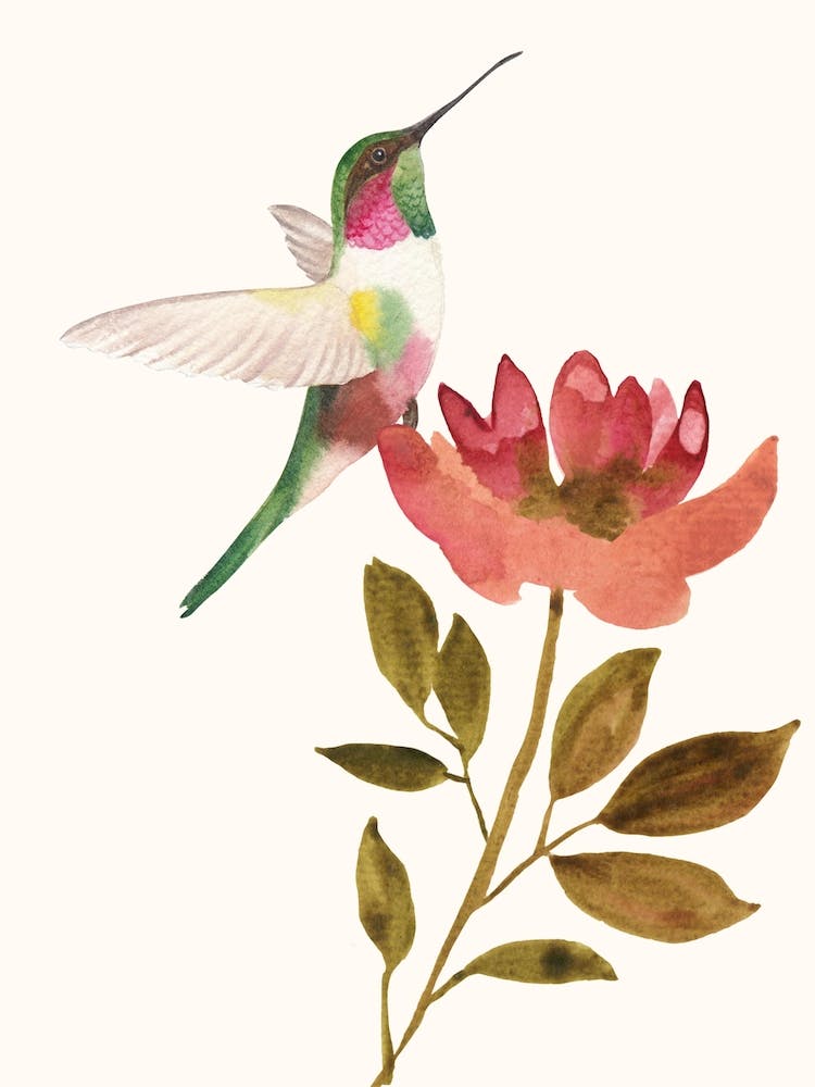 Hummingbird On A Flower