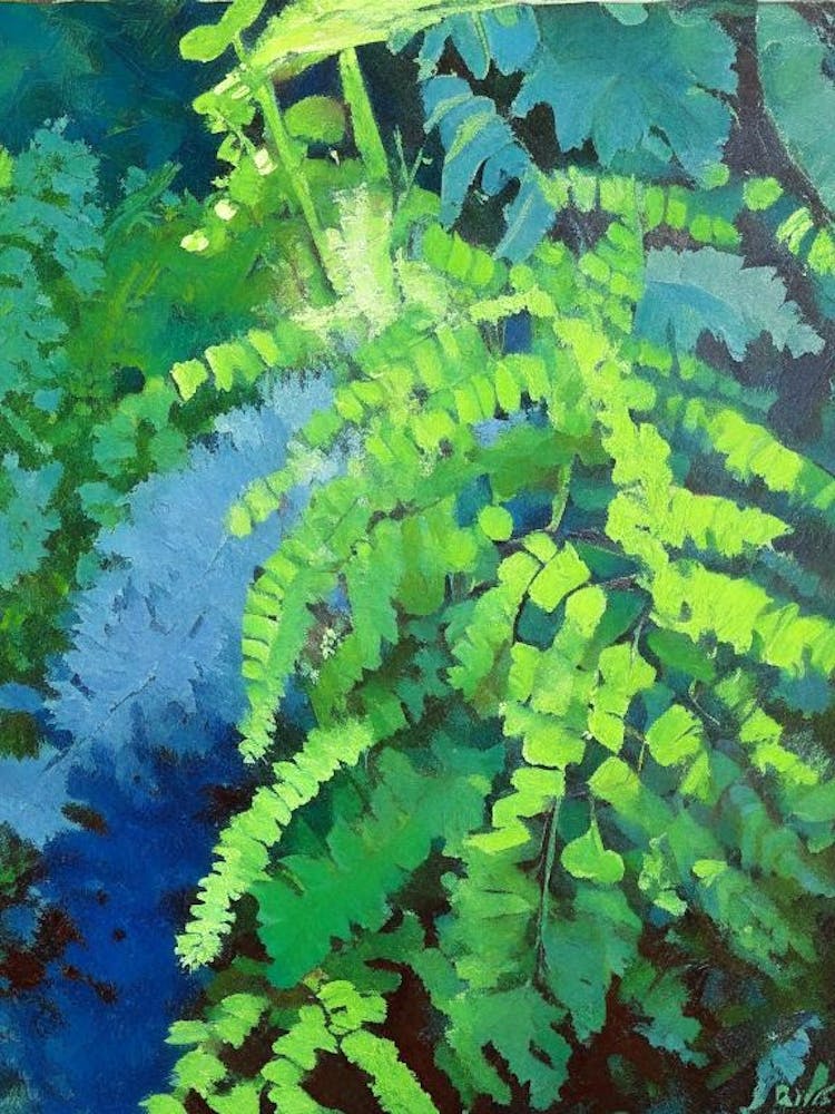 Fougère Adiantum du Sud Style Cézanne