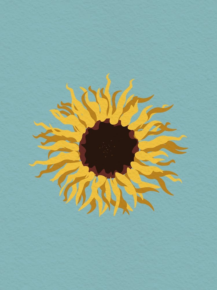 Vintage minimal art Sunflower 1