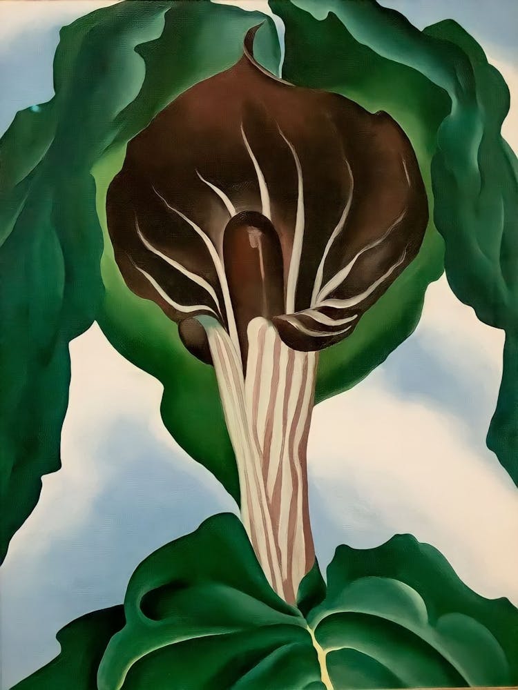 Georgia O'Keeffe - Jack-in-the-Pulpit No. 3, 1930