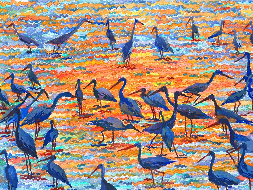 Tuzly Estuaries National Park