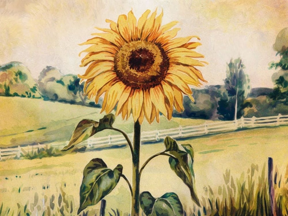 Strahlende realistische Sonnenblume - Aquarell