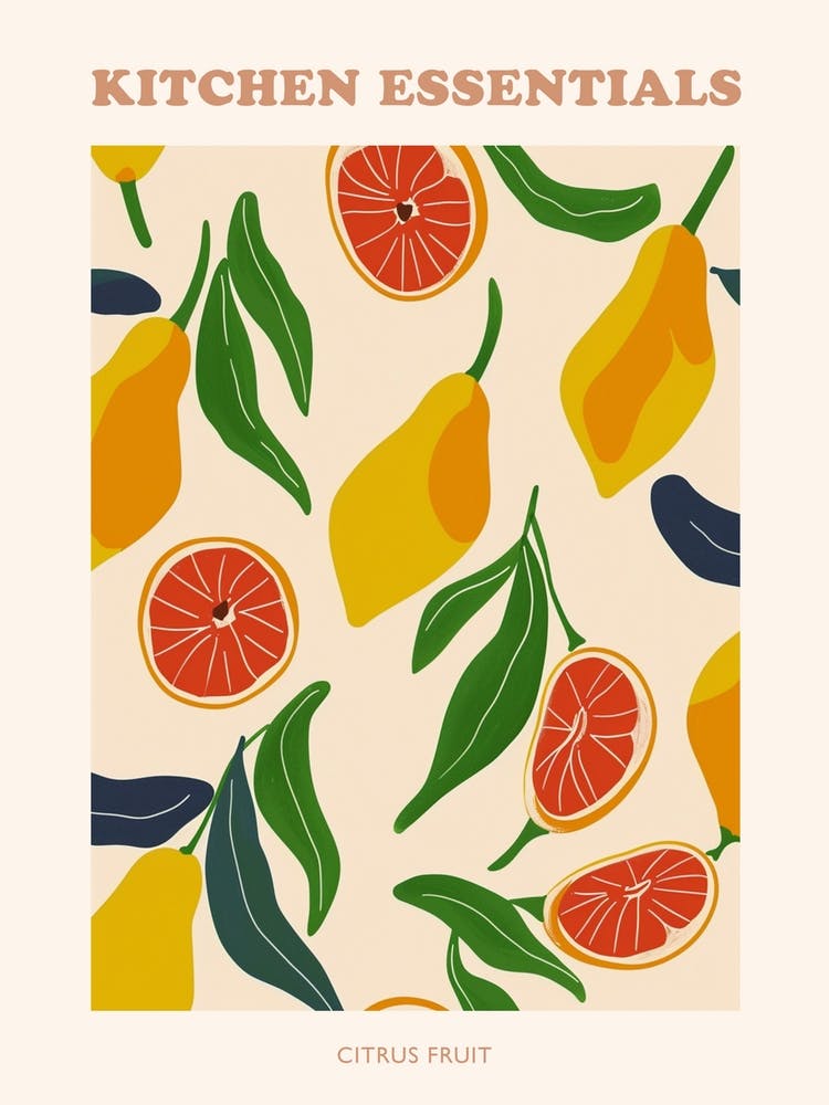 Citrus Fruit Abstract Illustration Poster 3