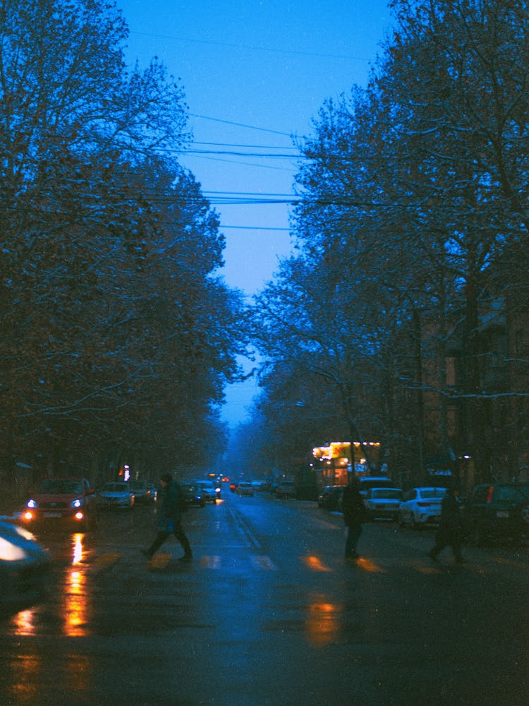 Blue winter 1