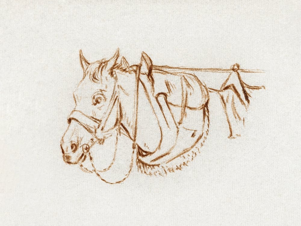 Head Of A Rigged Horse, Jean Bernard