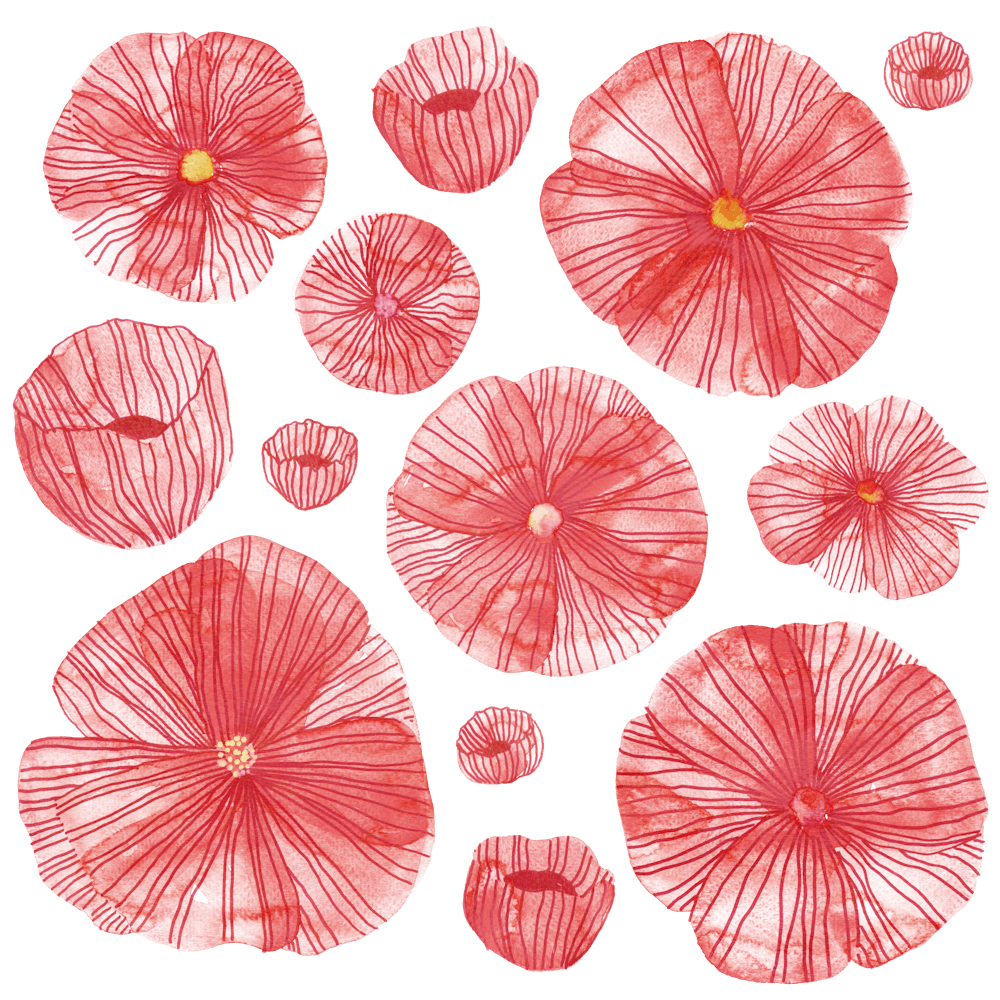 Watercolor Poppies in Red on White