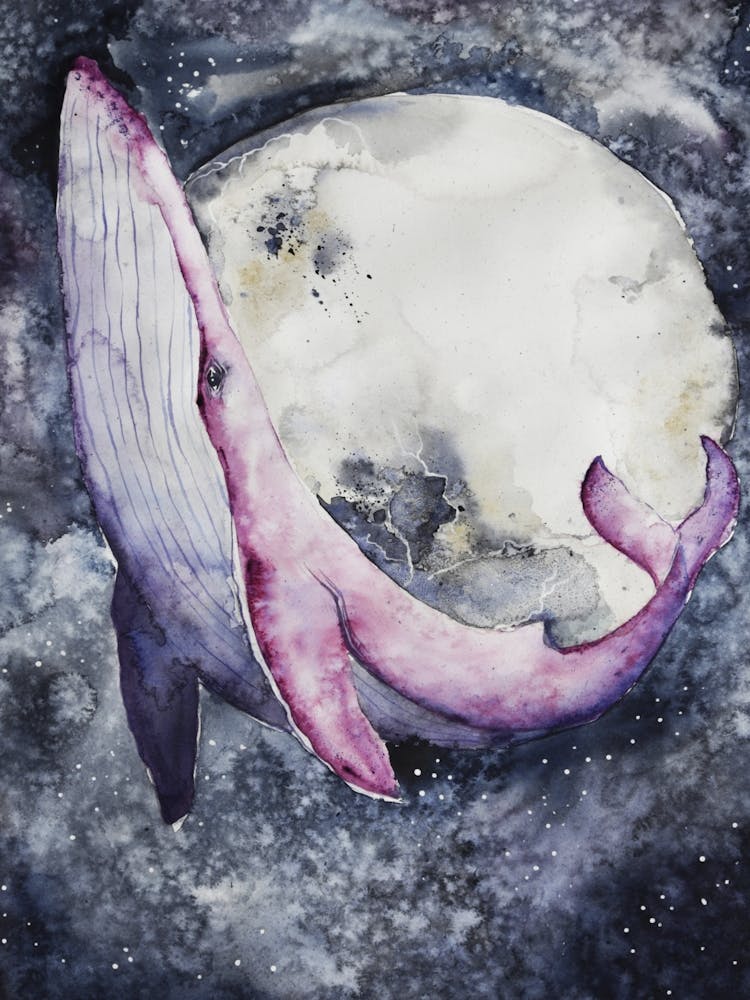 Pink Whale