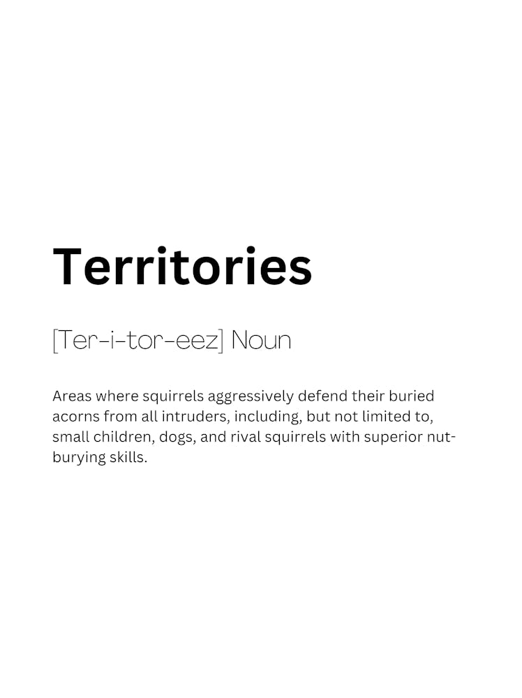 Territoires Définition Signification