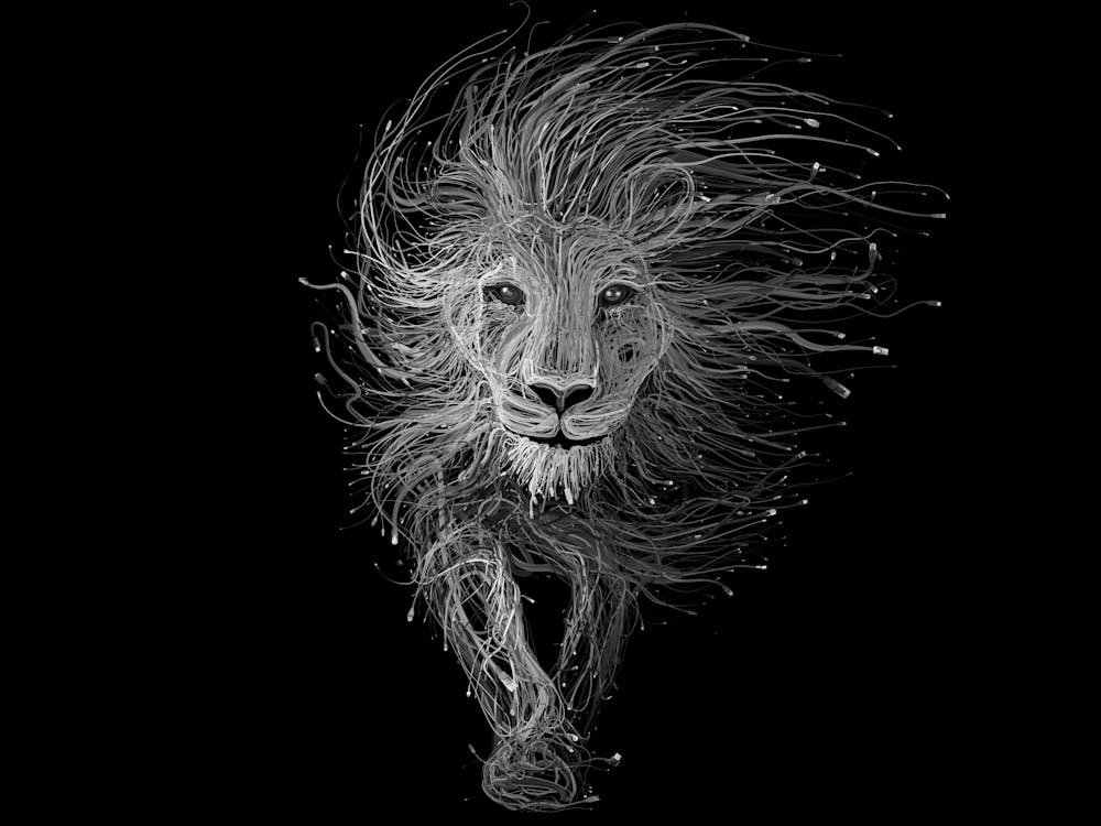 Black Lion