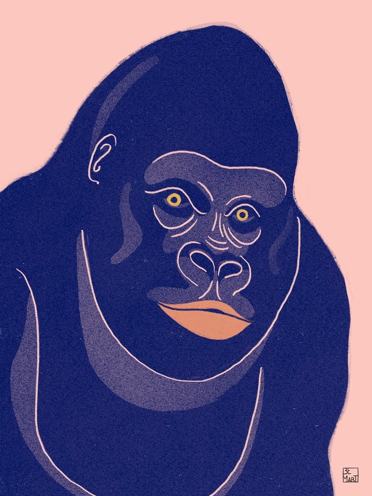 Gorilla With Orange Background