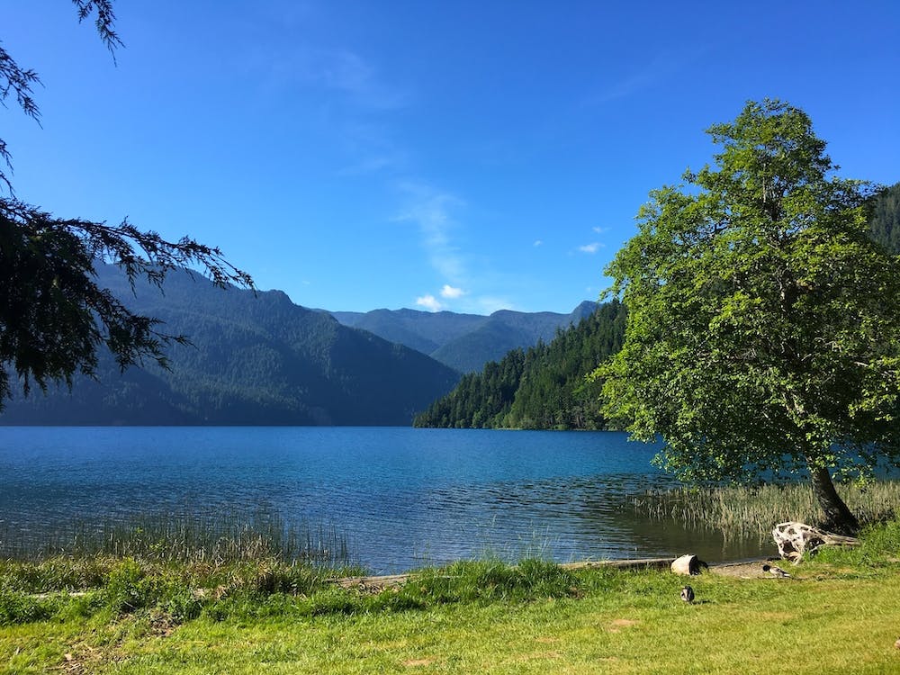 Lake Crescent, Olympic National Park, Washington