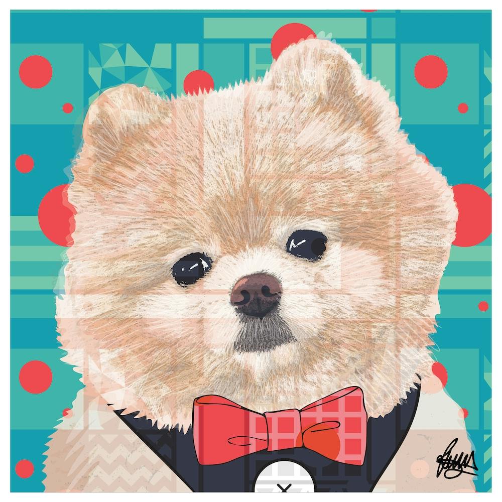 Cedric Pomeranian Square