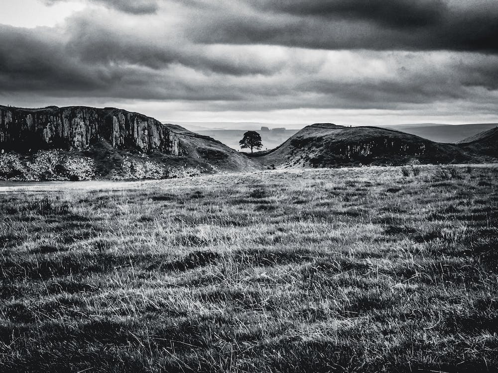 Sycamore Gap Hadrian'S Wall