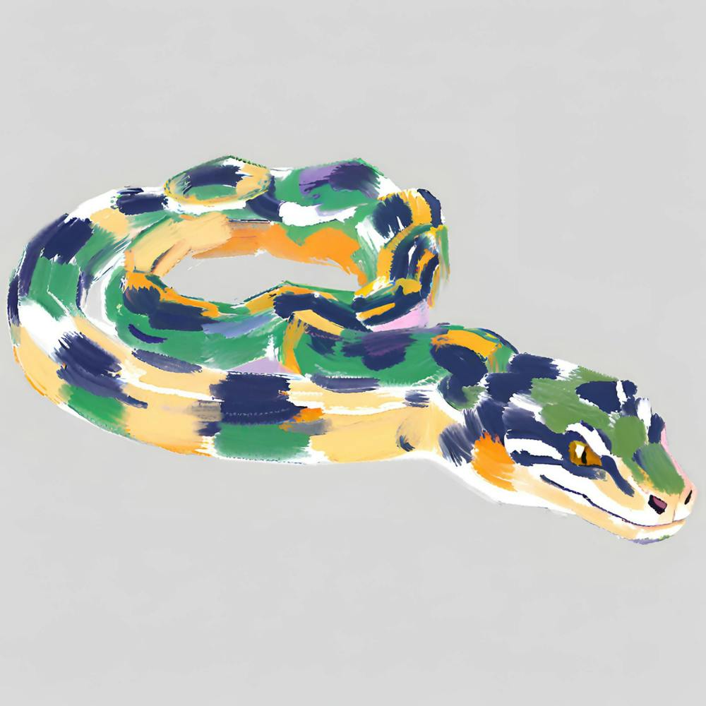 King Snake 08