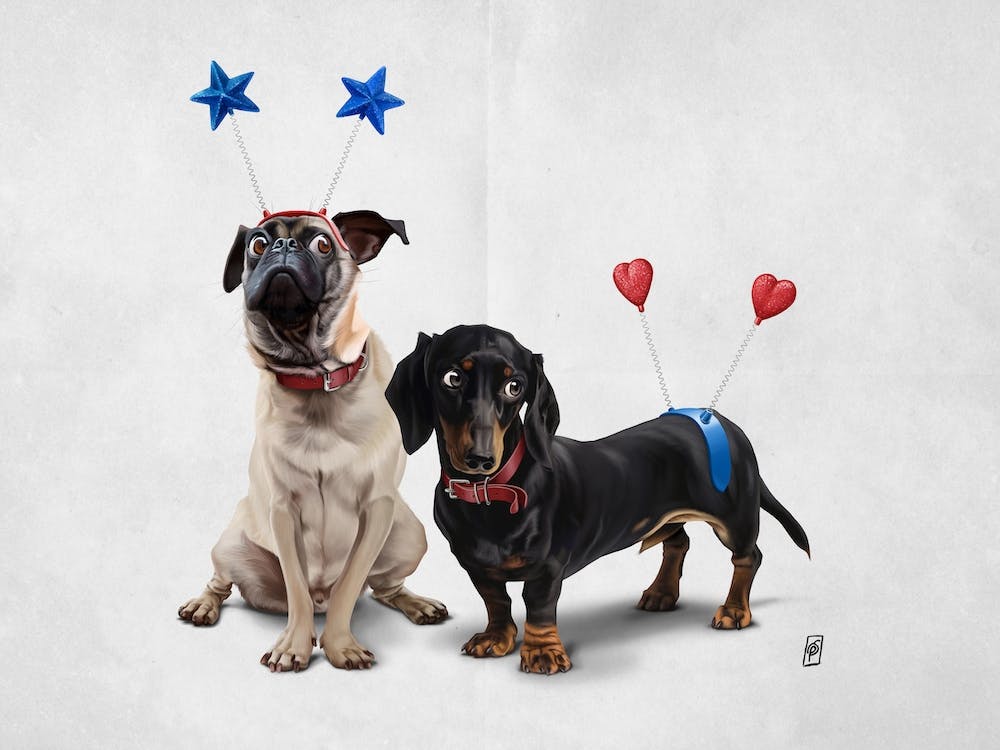 What's the Deely? (Wordless)