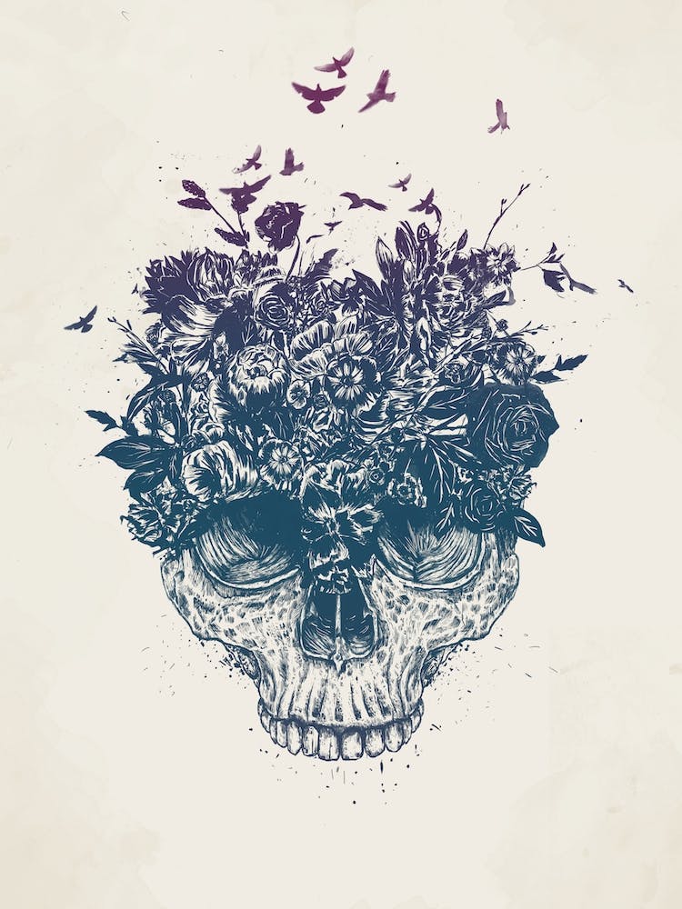 My Head is a Jungle