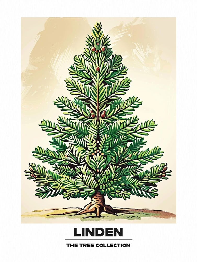 Linden Tree Storybook Illustration 2 Poster