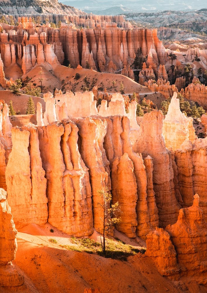 Utah Desert 1