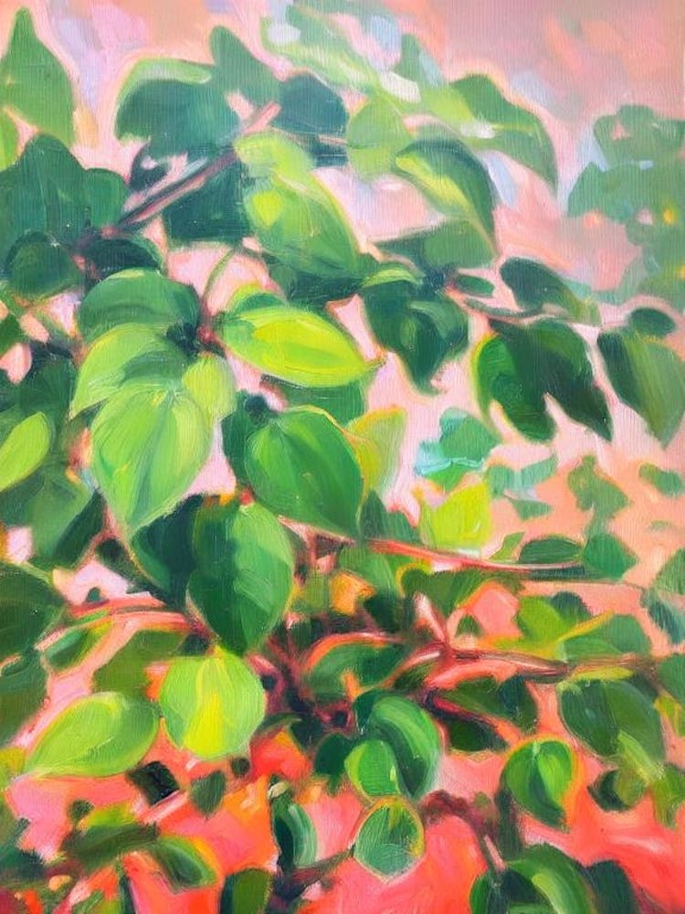 Heartleaf Philodendron Impressionist Painting