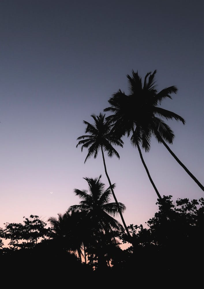 Sri Lanka Magical Purple Sunset