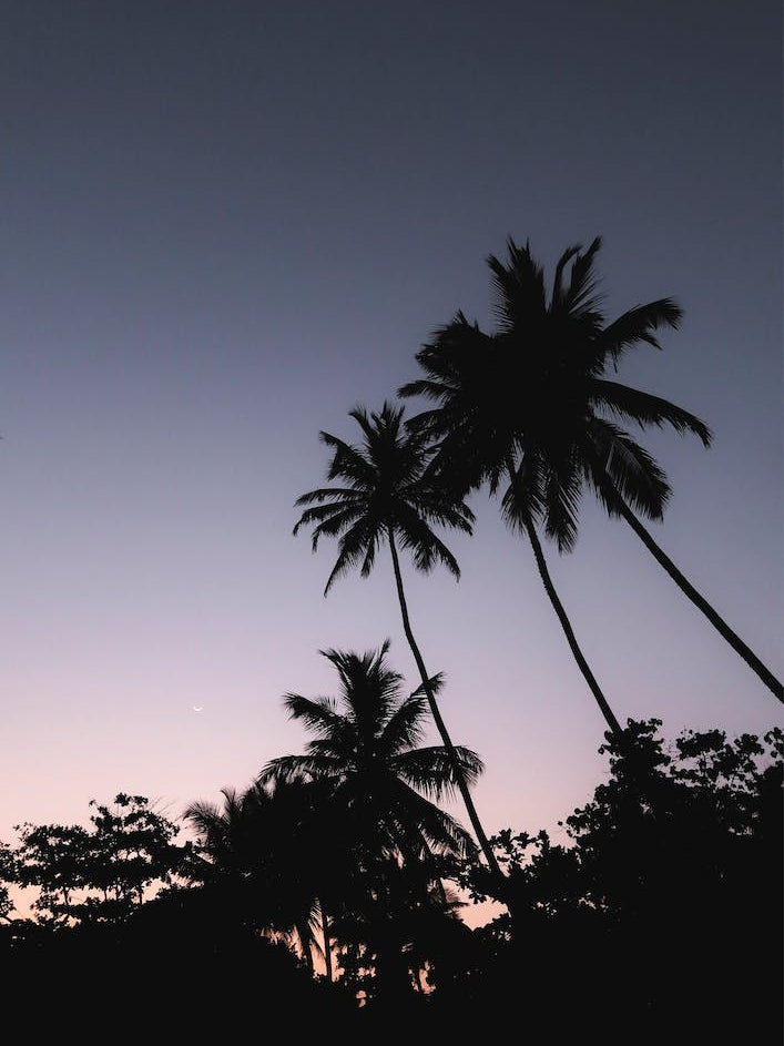 Sri Lanka Magical Purple Sunset