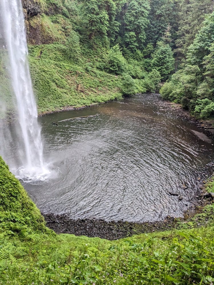 Pool of Hope and Happiness