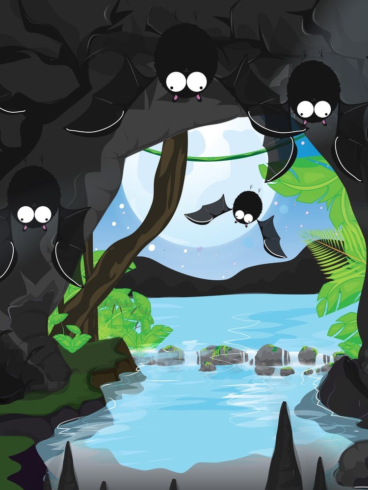 Bats In Cave