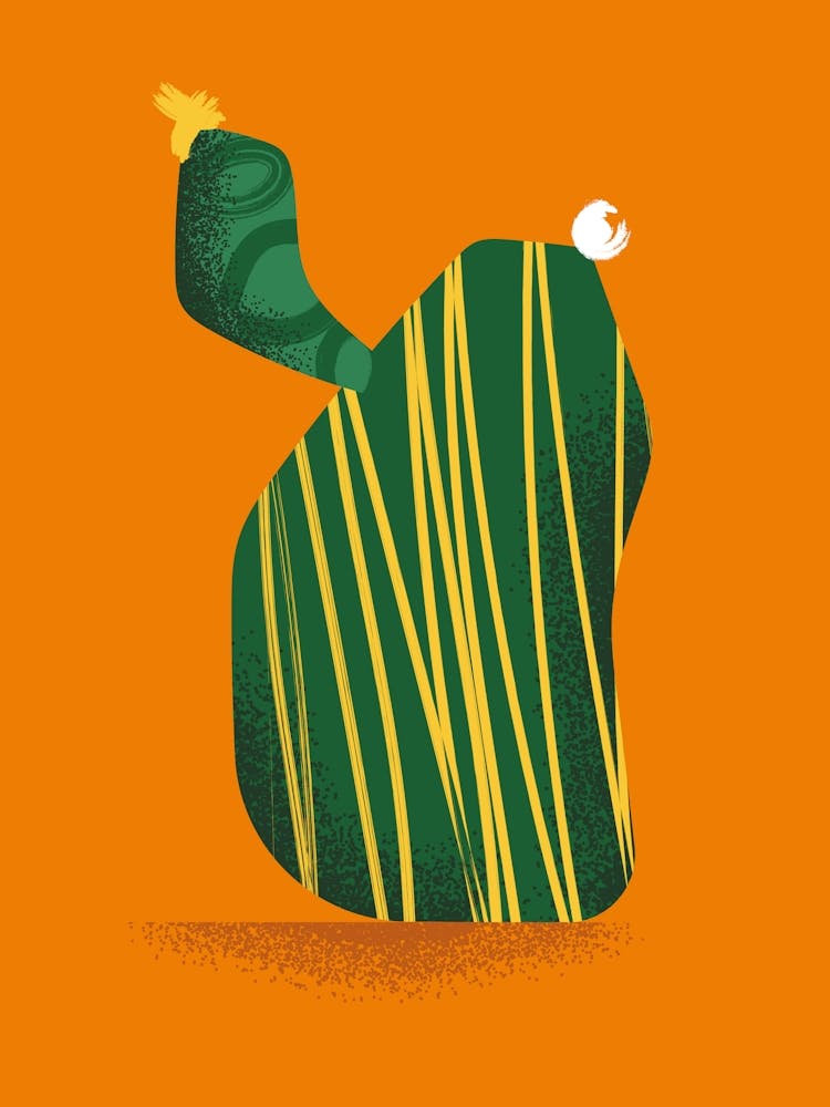 Cactus n5