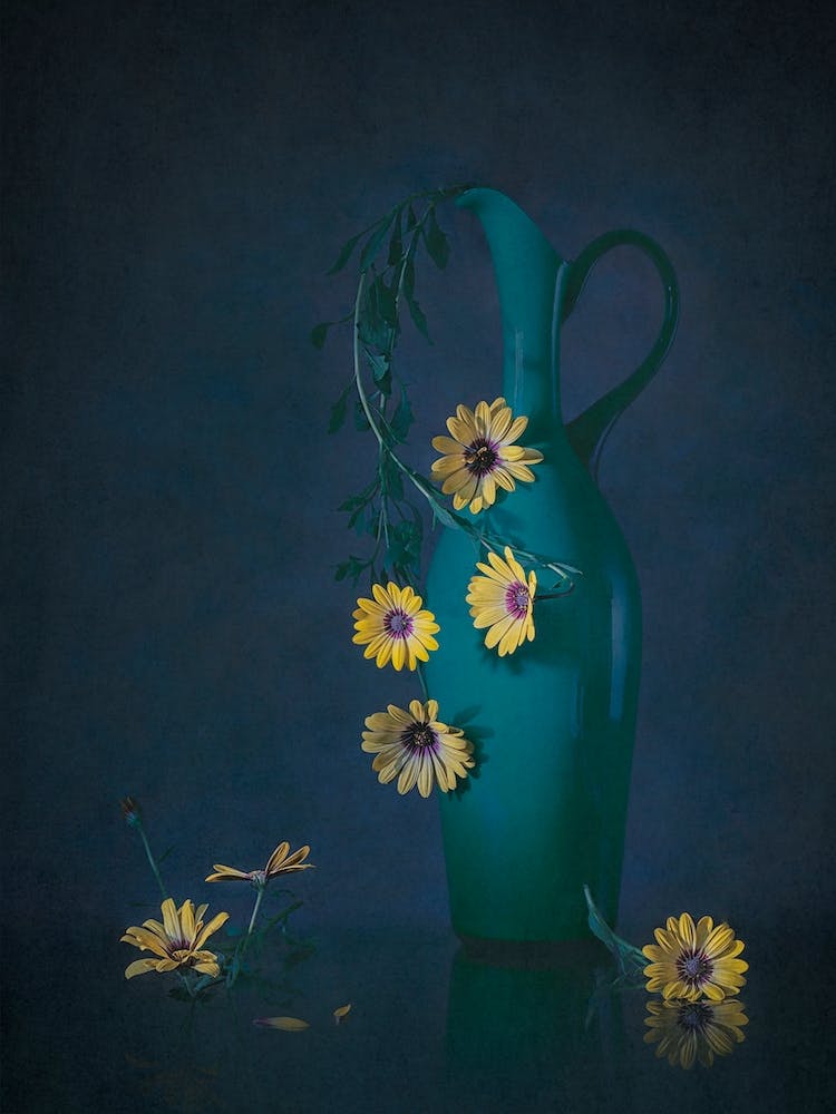 Yellow Daisies