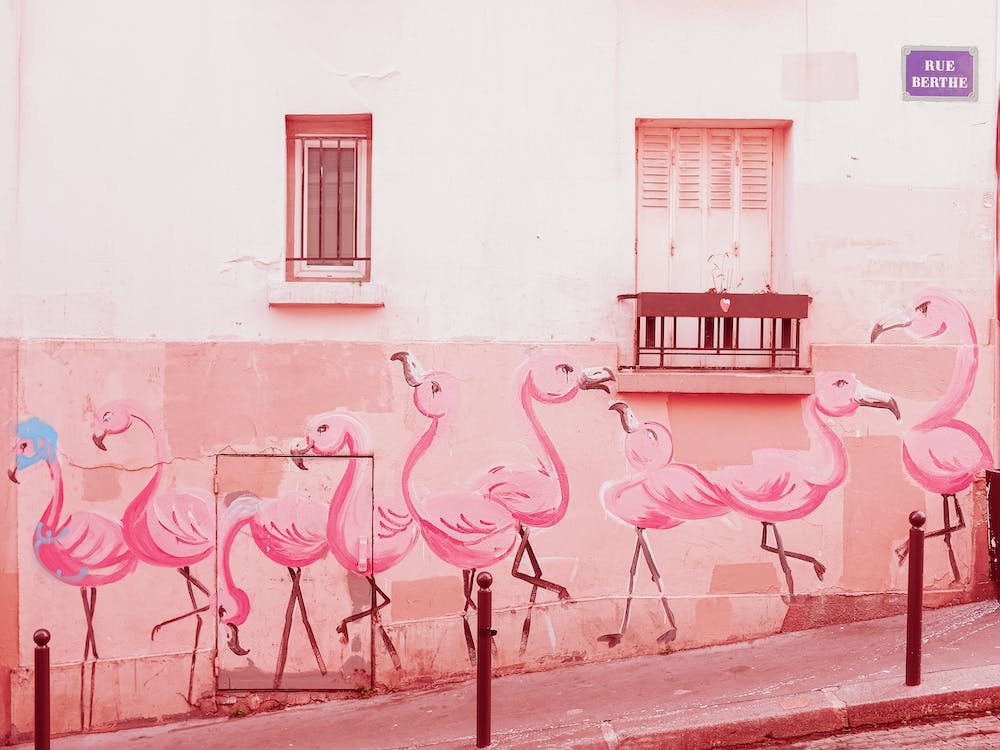 Pink Flamingos Street Art