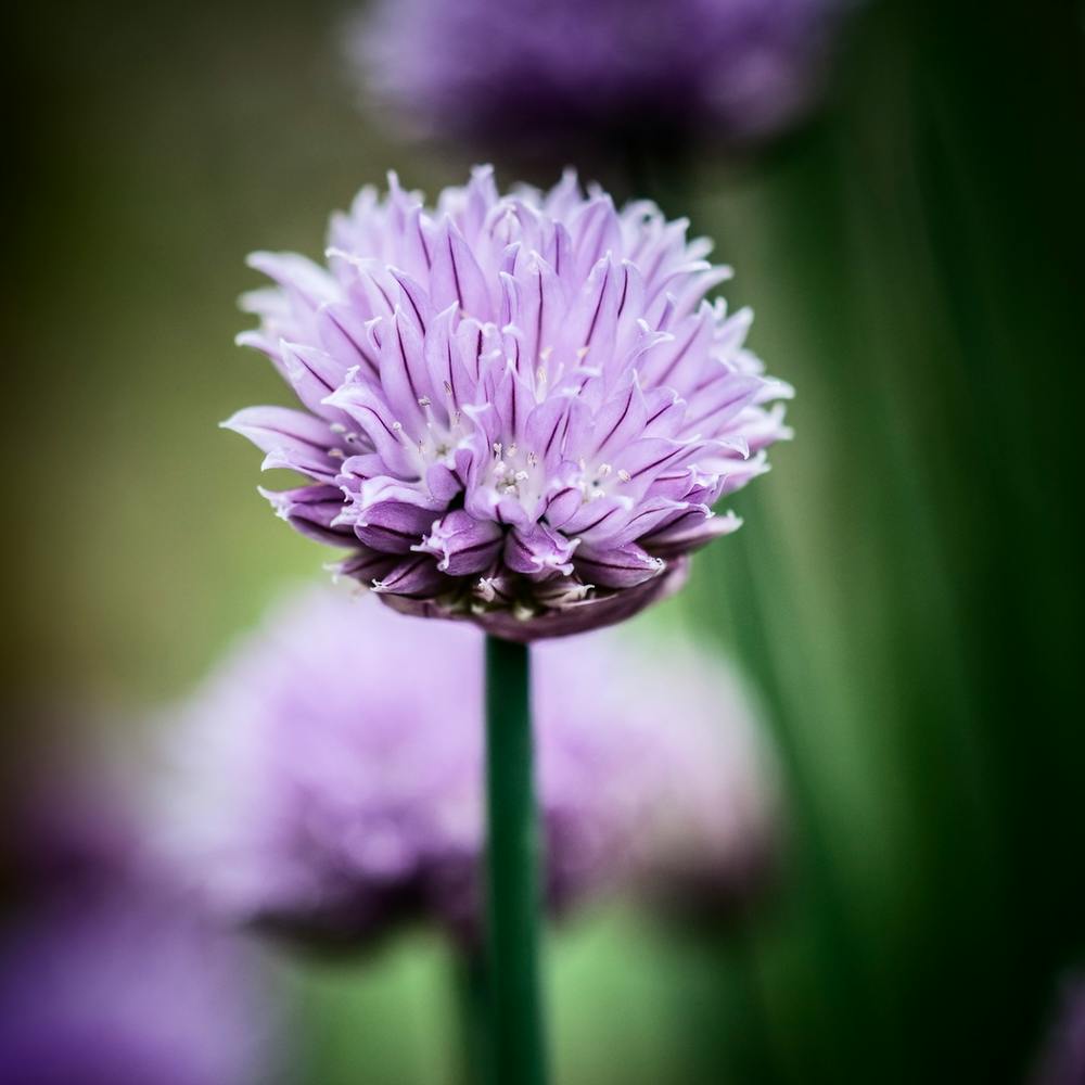 All Alone With My Thoughts 2