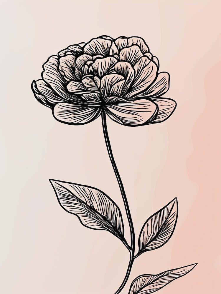 Line Art Marigold Flowers Illustration Neutral 1