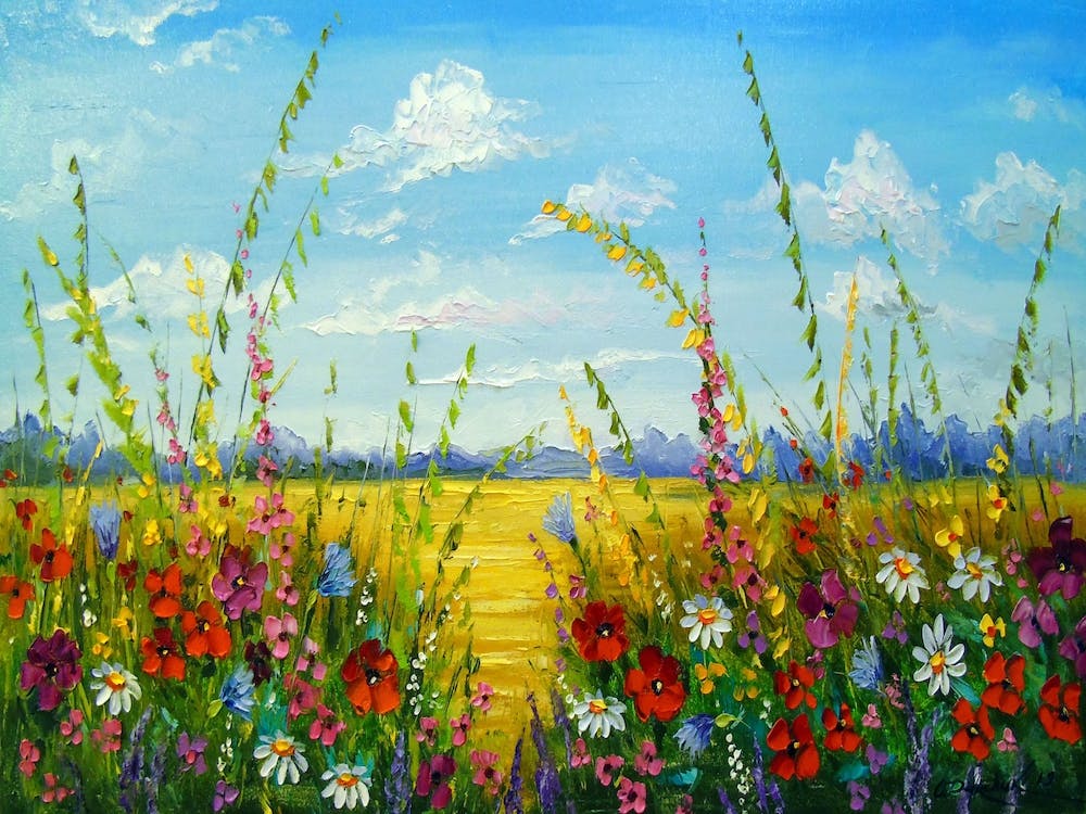 morning field of flowers