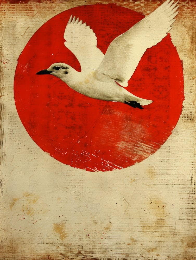 Japanese Seagull In Flight