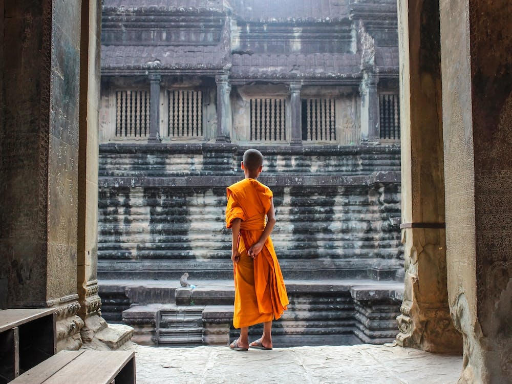 Curious Monk
