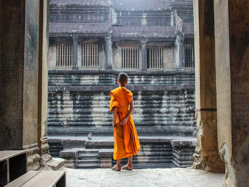 Curious Monk