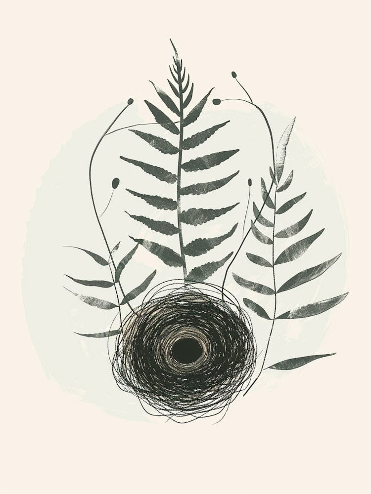 Birds Nest Fern Plant Minimalist Illustration 5