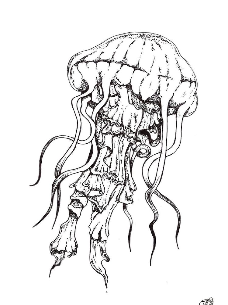 Black and White Jellyfish