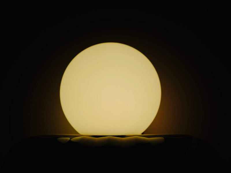 Lamp In The Dark