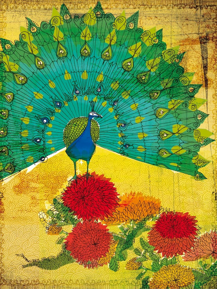 Peacock