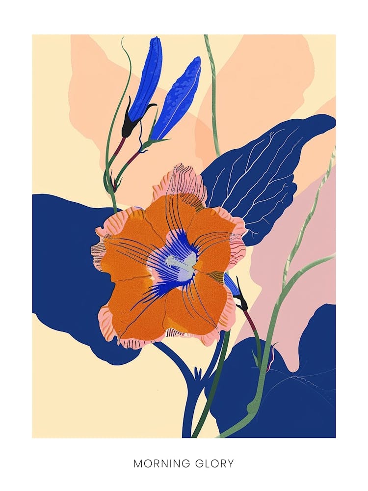Colourful Flower Illustration Poster Morning Glory 3