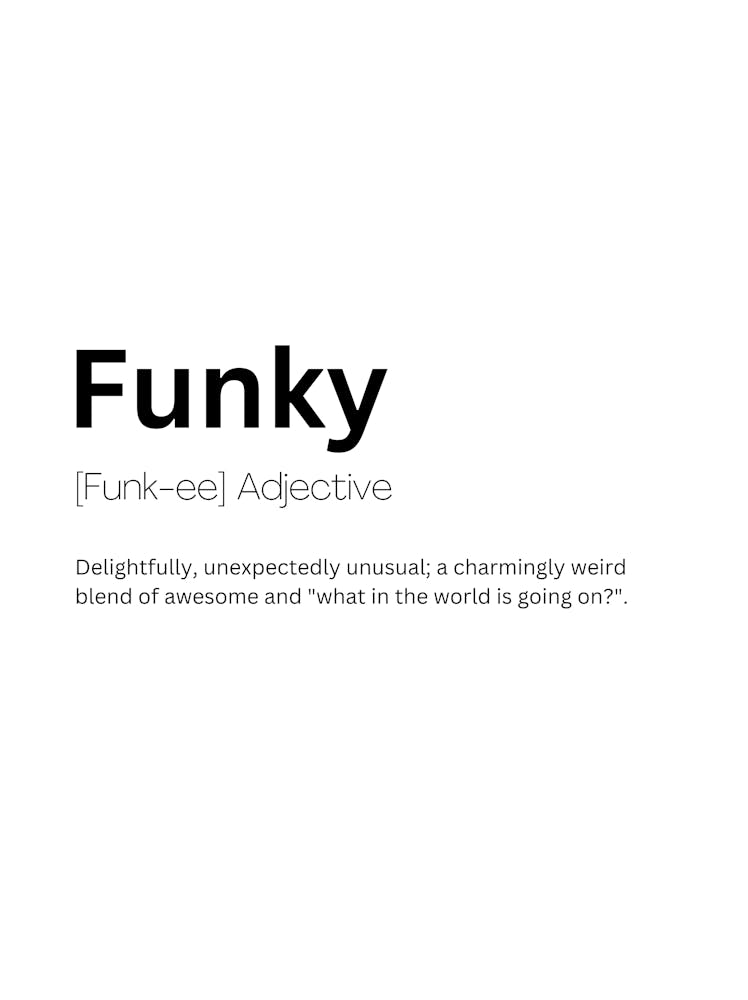 Funky Definition Meaning 1
