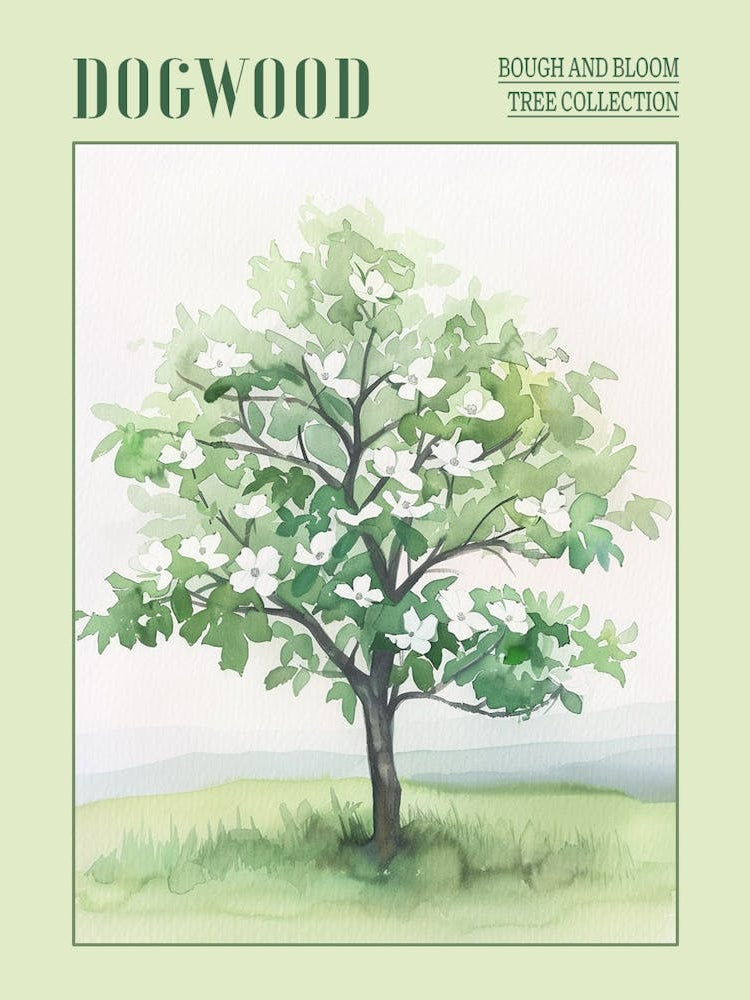 Dogwood Tree Atmospheric Watercolour Painting 3 Poster